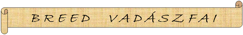 Vadaszfai-Banner